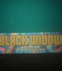 Black Widow The Band + TBA