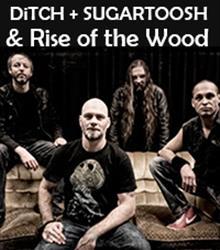 DiTCH + Rise of the Wood + Stone Golem DiTCH + Rise of the Wood + Stone Golem
