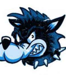 Active Transport Active Transport