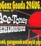 The Resoneurs & The Ace-Tones