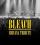 Bleach (IT) - World Wide Nirvana Tribute Band